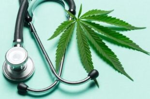 how-to-apply-for-a-new-york-medical-marijuana-card