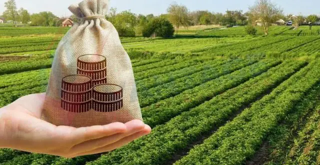 government-initiatives-drive-financial-support-for-agrotech-startups