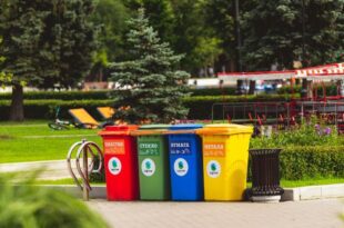 comprehensive-guide-to-choosing-the-right-dumpster-rental