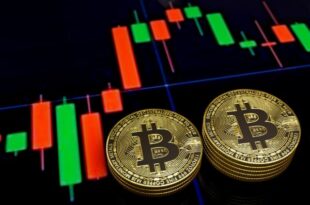 trends-and-forecasts-for-cryptocurrencies-in-2024