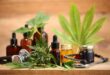 aromatherapy-with-cannabis-exploring-its-calming-effects