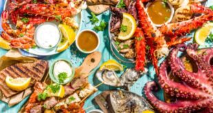 ridingthe-wave-of-sustainability-seafood-lovers-guide-to-responsible-dining