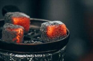 essential-tips-for-buying-hookah-charcoal