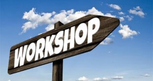 Tips for Organizing a Sustainability Workshop for Your Employees