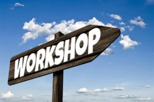 Tips for Organizing a Sustainability Workshop for Your Employees