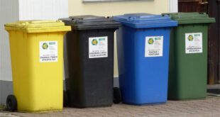 Reasons Dumpsters Are Perfect for Multi-Unit Property Cleanups