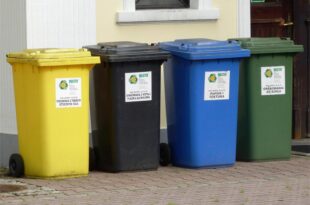 Reasons Dumpsters Are Perfect for Multi-Unit Property Cleanups