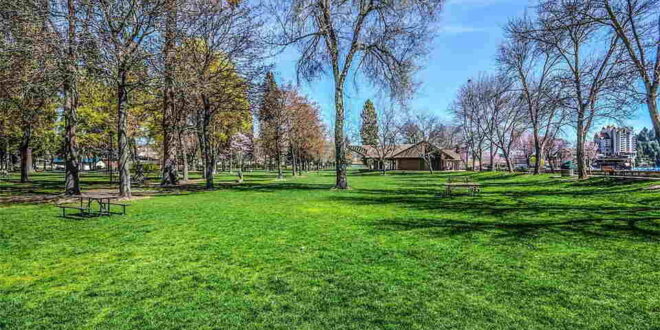 Finding Joy in the Small Things Therapeutic Benefits of Mowing Your Lawn