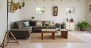 Modern Interior Partition Ideas for Stylish Home Dividers