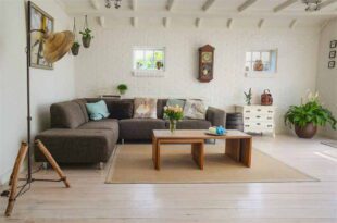 Modern Interior Partition Ideas for Stylish Home Dividers
