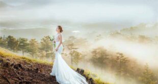 Top 10 Tips For Choosing Your Perfect Wedding Dress
