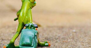 Guide to Reflective Travel