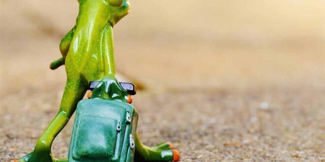 Guide to Reflective Travel