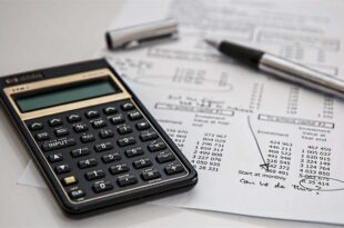 How Can Businesses Choose the Right Insurance Options for Employees